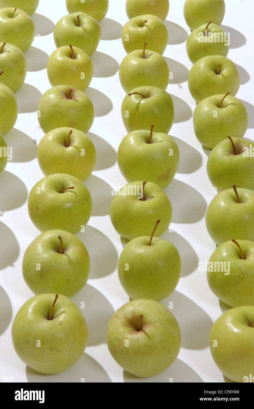 Apple, Reihe, Menge, viele, Äpfel, aufgereiht, grün, gelb, Landwirtschaft, Stockfoto