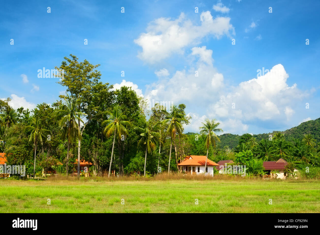 traditionelle grüne Landschaft mit Palmen und Häuser, Krabi, Thailand Stockfoto