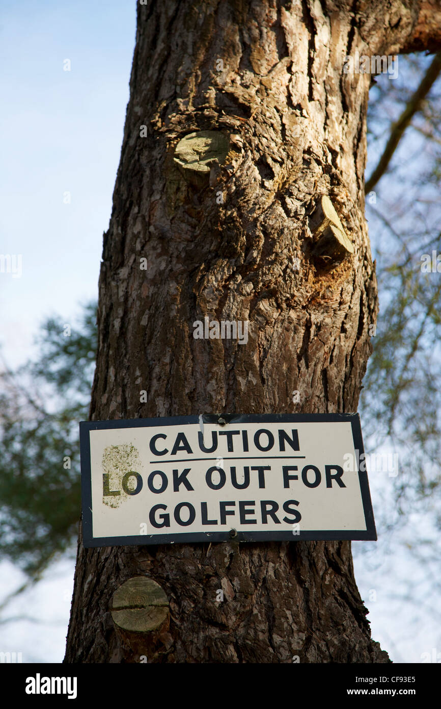 Achtung schauen Sie für Golfer zu unterzeichnen, auf einem Baum Stockfoto