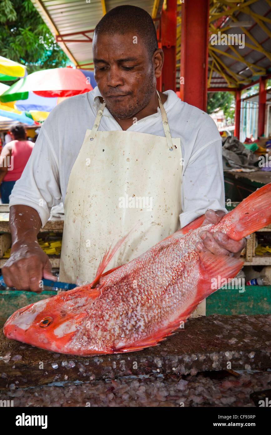 Mann Fischmarkt Entkalkung frische Red Snapper in den Sir Selwyn Clark Fisch, Victoria, Mahé, Seychellen Stockfoto