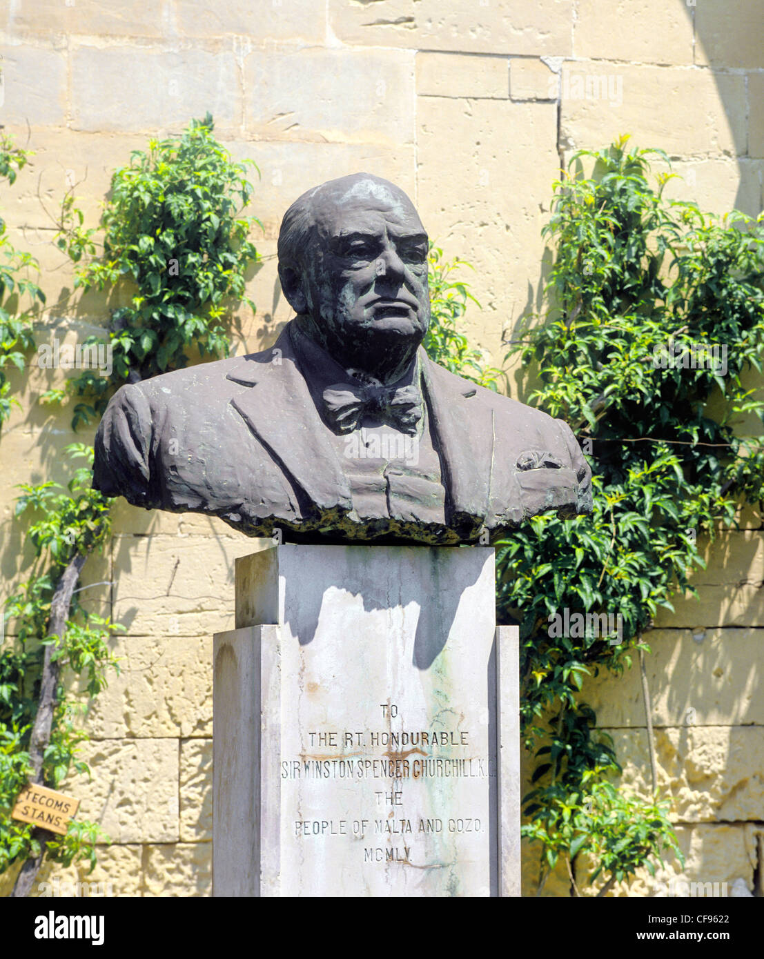 Malta, la Valletta, Vereinigtes Königreich, Politik, Sir Winston Churchill, Büste, statue Stockfoto