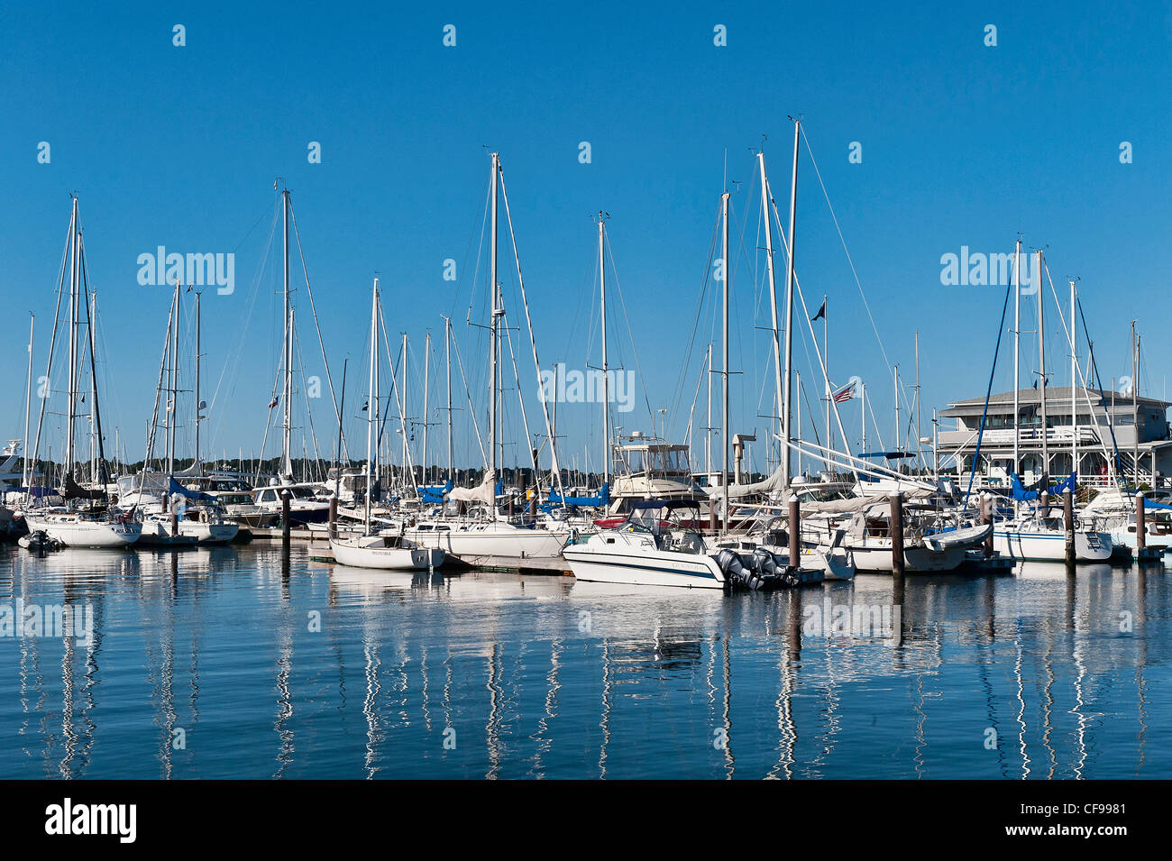 Boote im Hafen, Newport, Rhode Island, USA Stockfoto