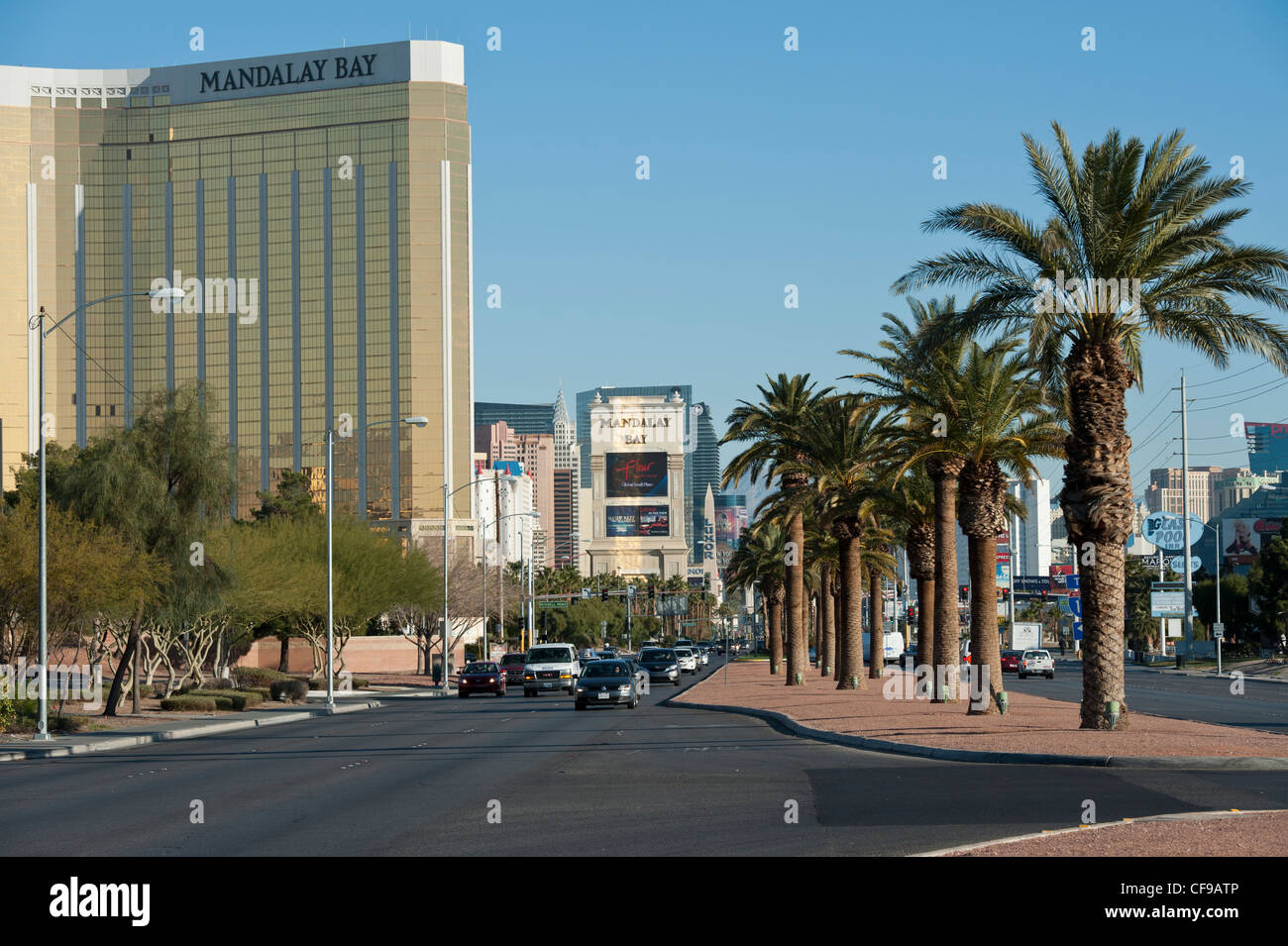 Blick auf den Strip oder Las Vegas Boulevard South, Paradies, Las Vegas, Nevada, Stockfoto