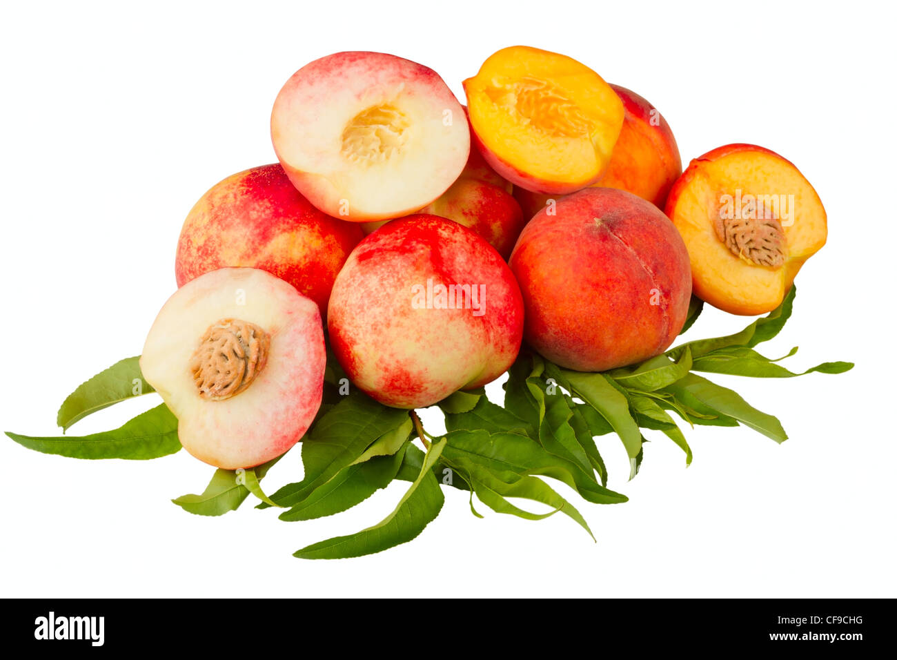 Nektarine und Pfirsich Früchten isoliert auf weißem Hintergrund Stockfoto