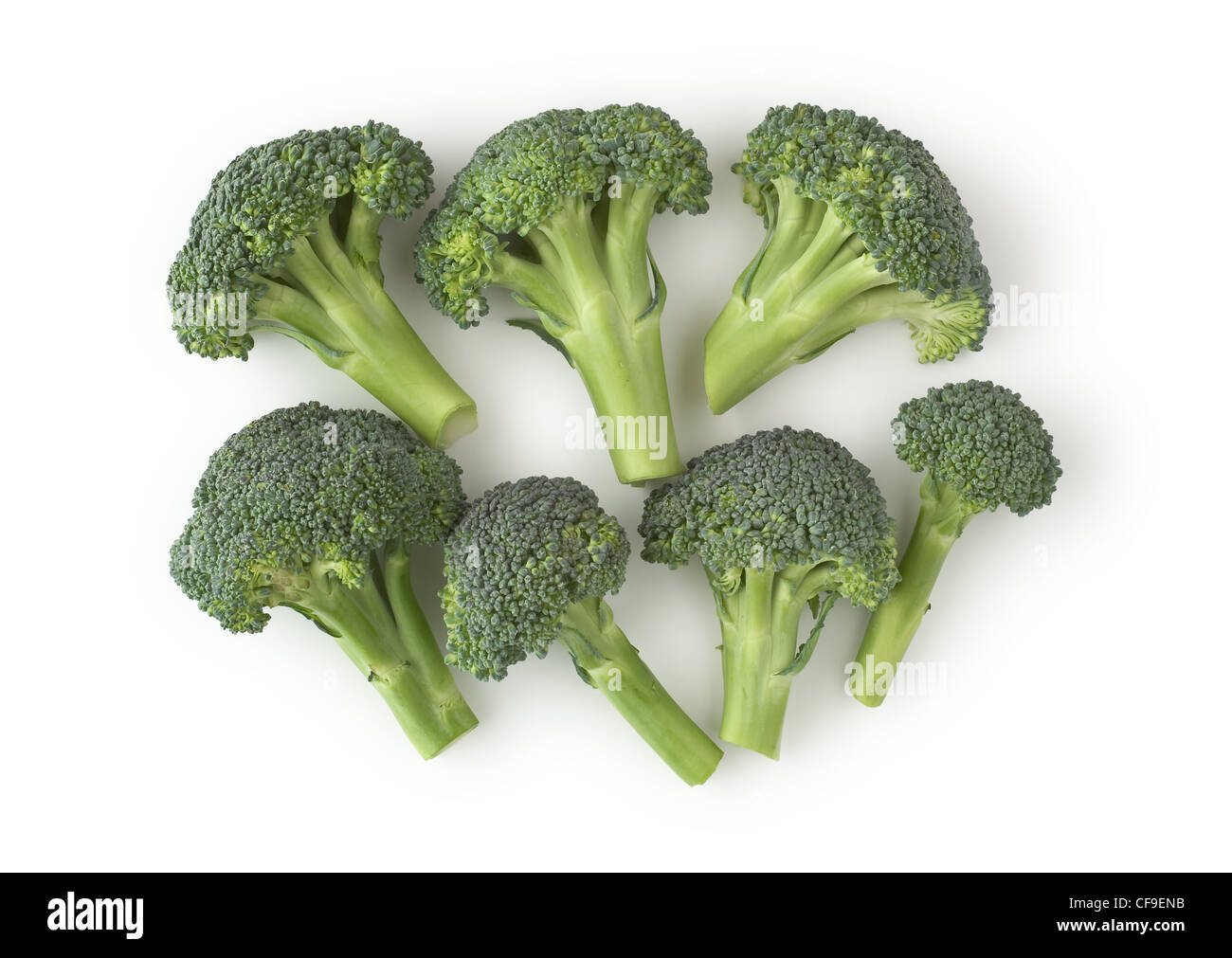 Brokkoli als gesunde und nahrhafte Gemüse Stockfoto