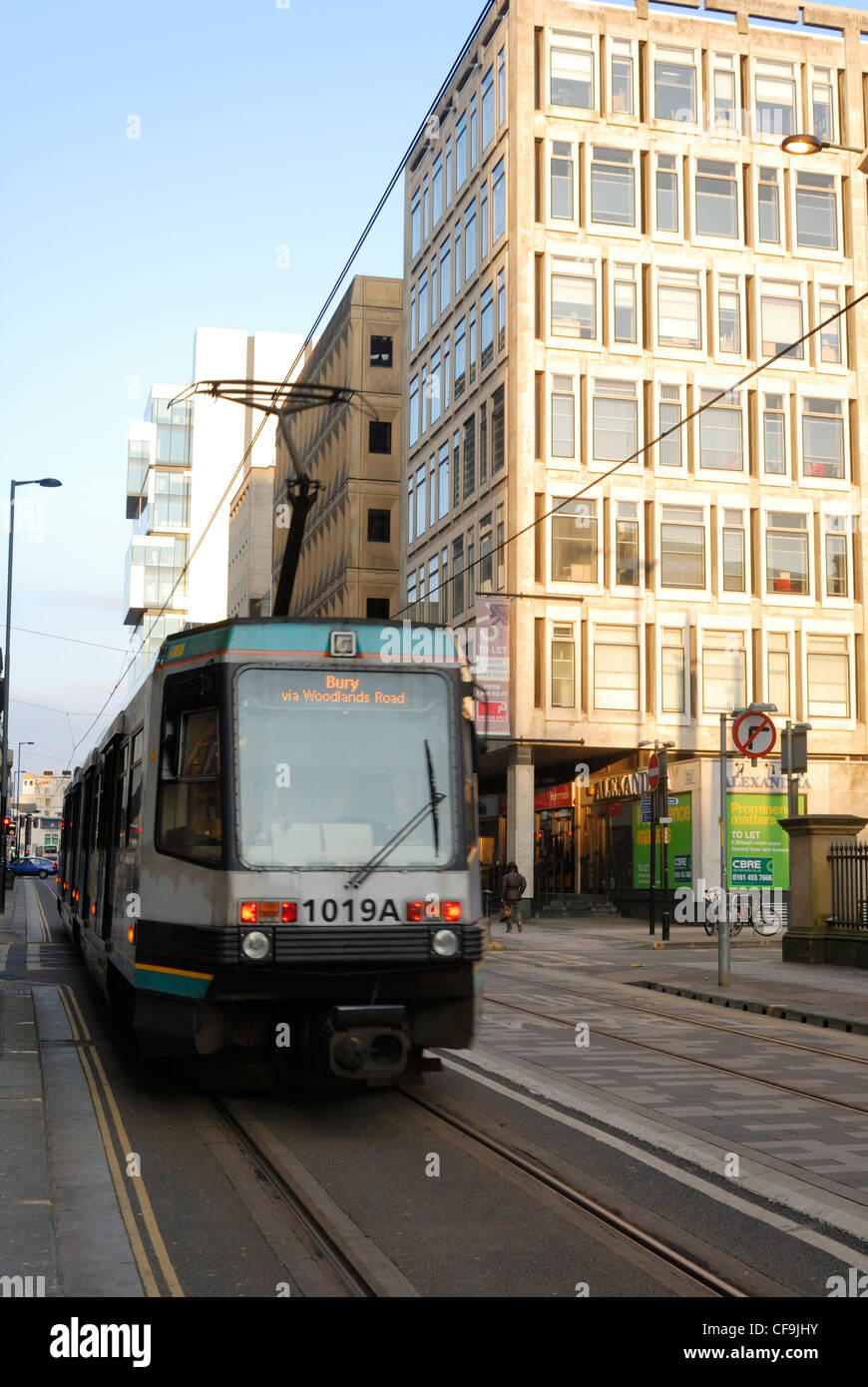 Straßenbahnen in der Nähe von Piccadilly im Zentrum von Manchester. Stockfoto