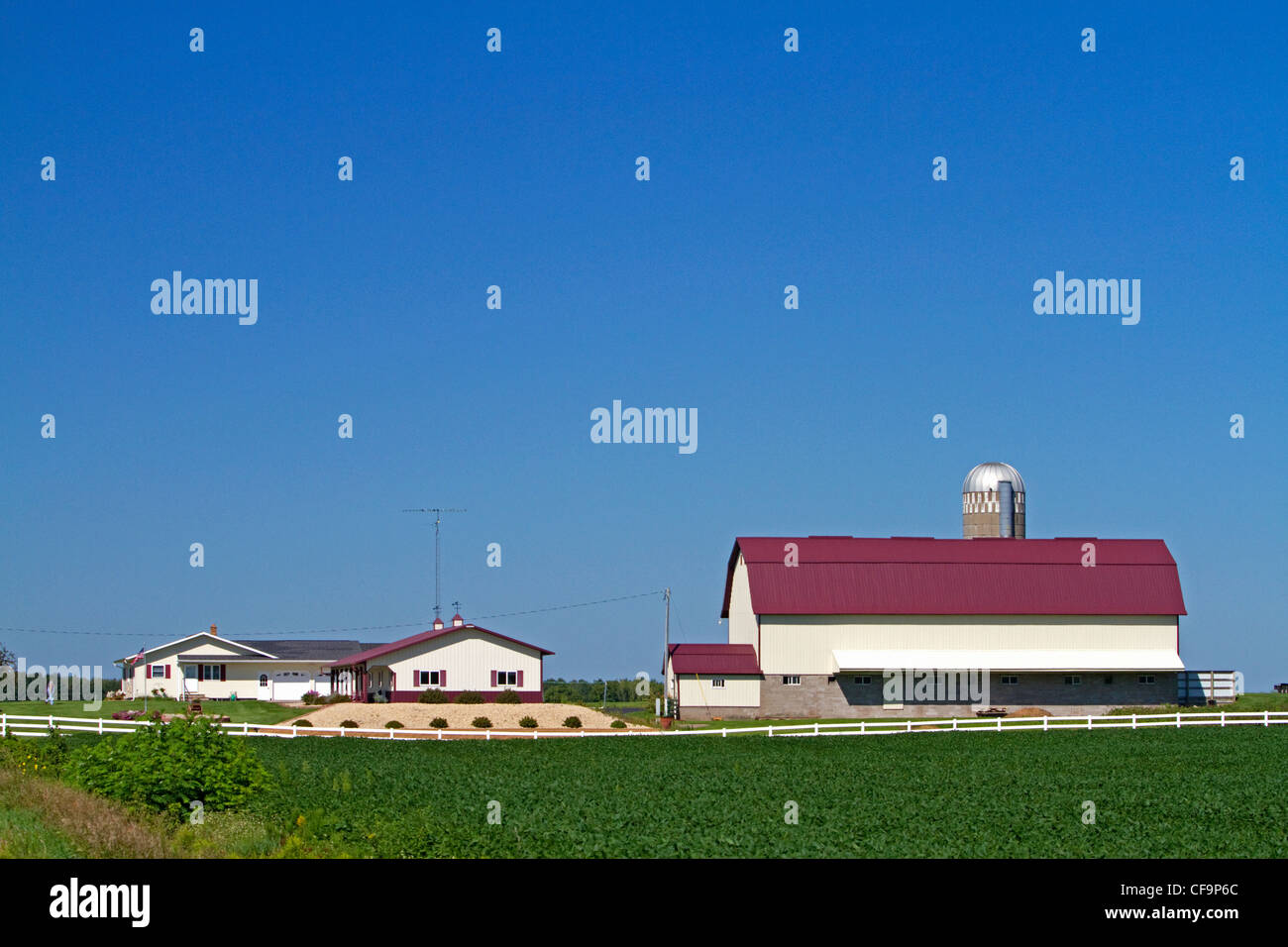 Bauernhof und Soja-Ernte nördlich von Eau Claire, Wisconsin, USA. Stockfoto