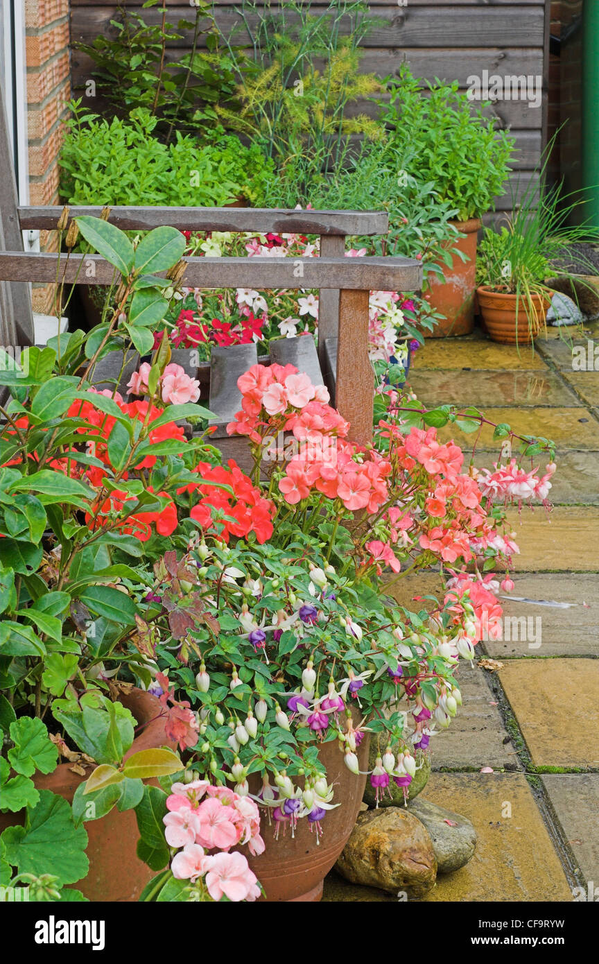 Gartenterrasse im Sommer, Norfolk, Großbritannien Stockfoto