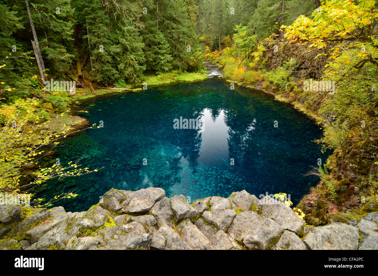 Tamolitch Pool, eine Feder gefüttert Pool entlang des McKenzie in Oregon Cascade Range. Stockfoto