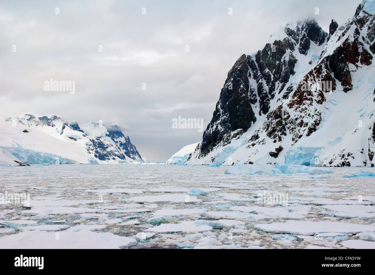 Lemaire-Kanal, Berge und Eisscholle, antarktische Halbinsel Stockfoto