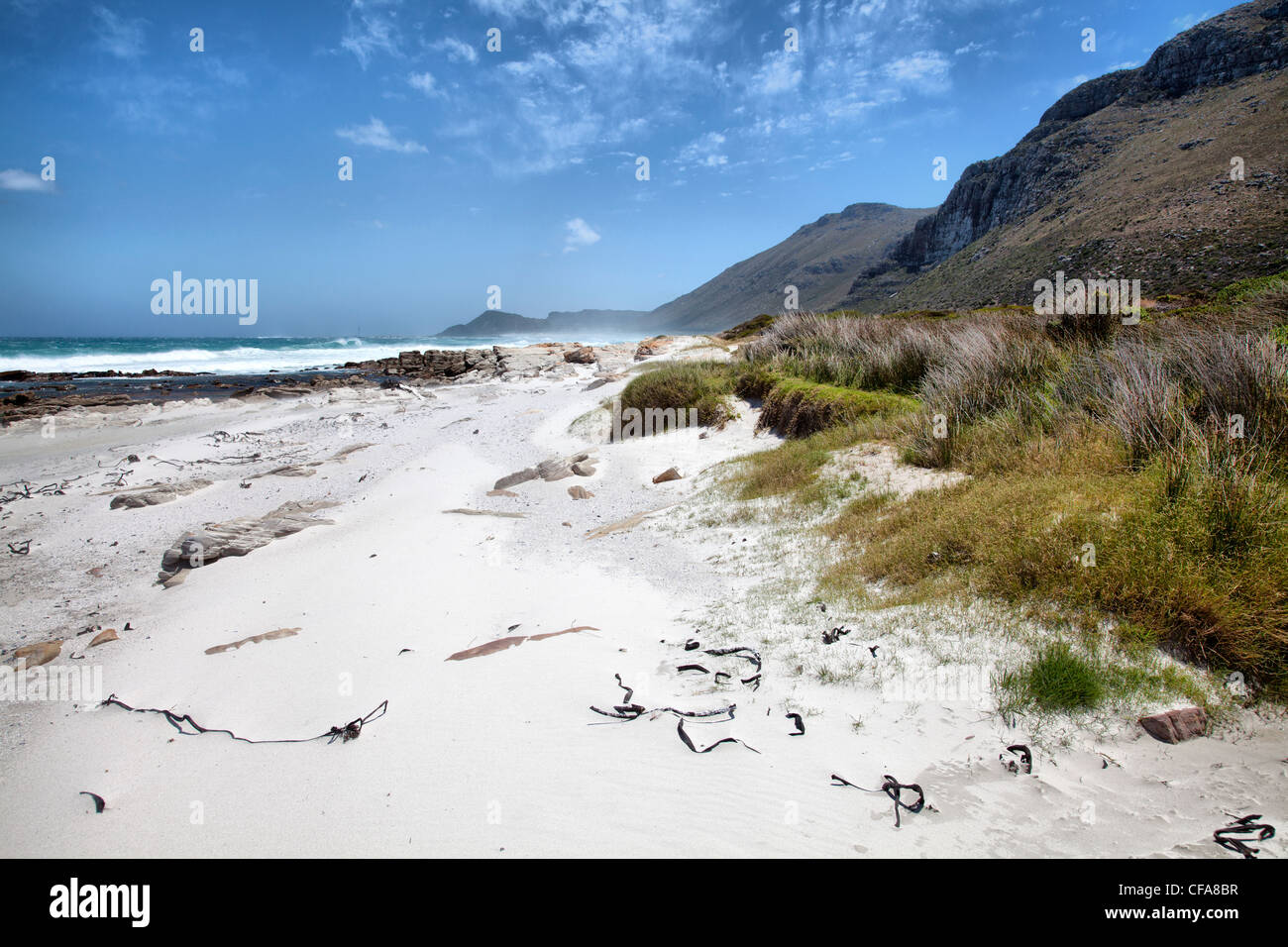 Scarborough Strand am Kap-Halbinsel in Südafrika Stockfoto