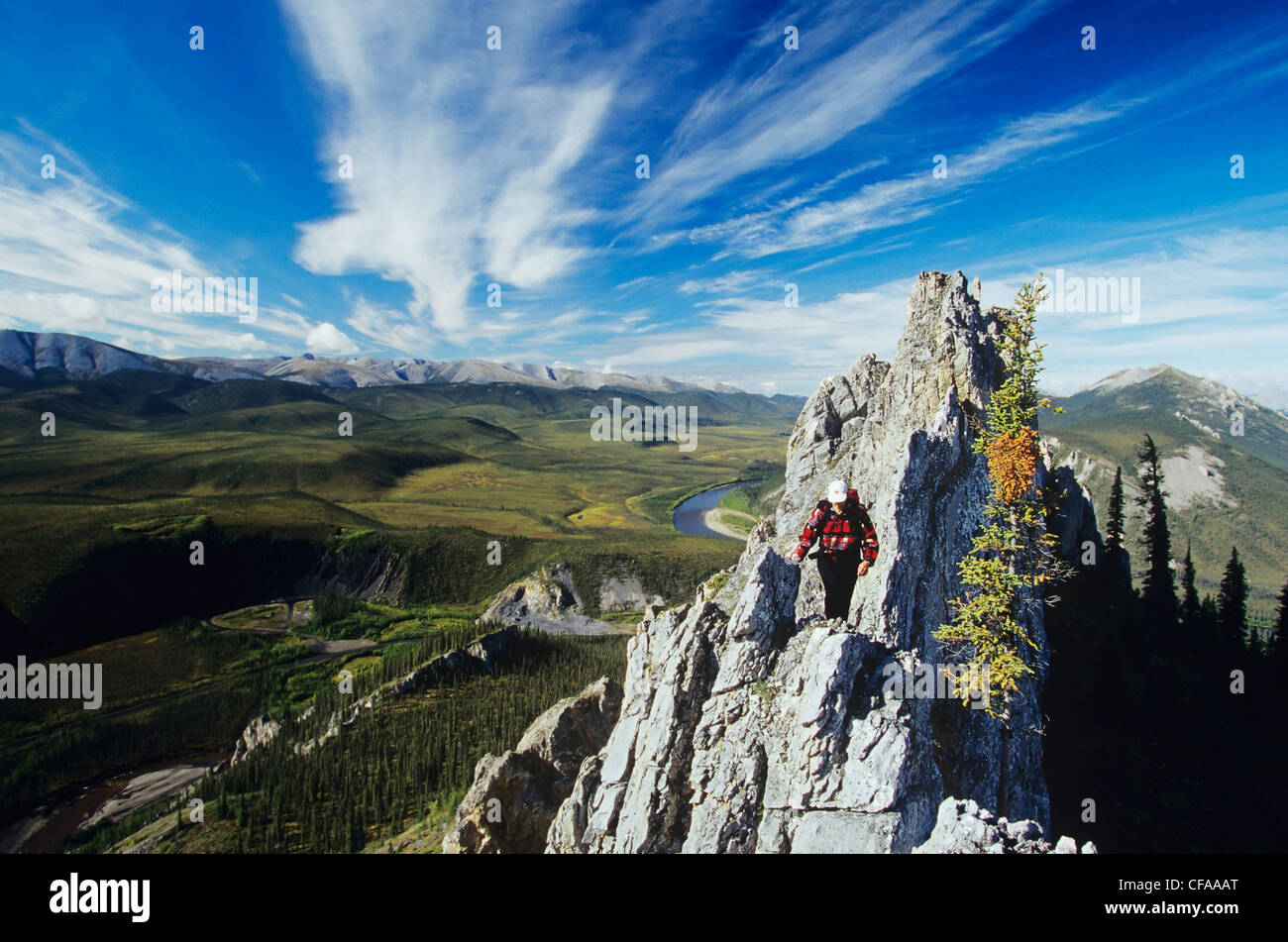 Junge Frau Wandern Dolomiten auf Sapper Hill, nördlichen Ogilvie Mountains, Yukon, Kanada zu Tage tretenden. Stockfoto