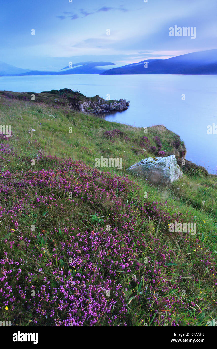 Bay, Heidekraut, Great Britain, moor, Highland, Highlands, Himmel, Highland, Kyle of Durness, Küste, Küstenlandschaft, Landschaft, Meer, Se Stockfoto