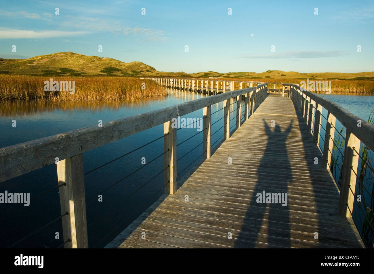 Boardwalk schweben über Bowley Teich. Greenwich Dünen Trail. Greenwich, Prince Edward Island Nationalpark, Kanada. Stockfoto