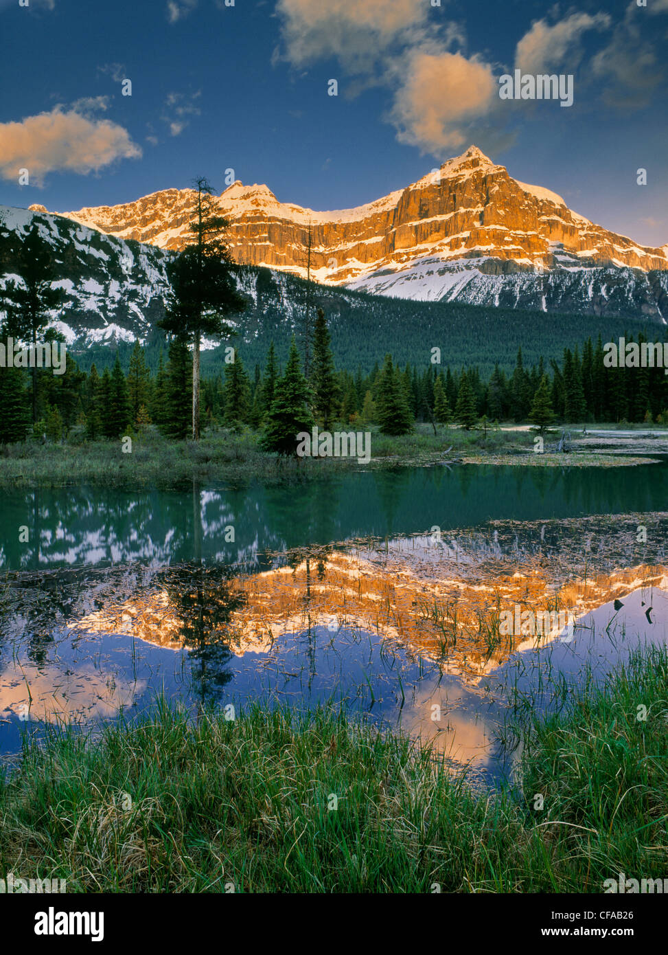 Mount Epaulette und Mistaya River, Banff Nationalpark, Alberta, Kanada. Stockfoto