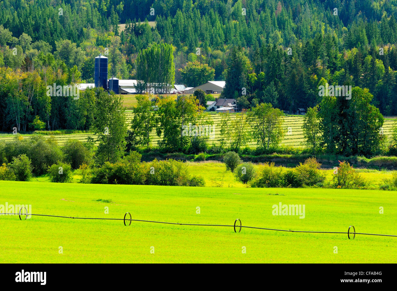 Silo, Bauernhof, Bewässerungssystem und Farm landen mit Reihen von Heu, Thompson Okanagan Region, Britisch-Kolumbien, Kanada Stockfoto