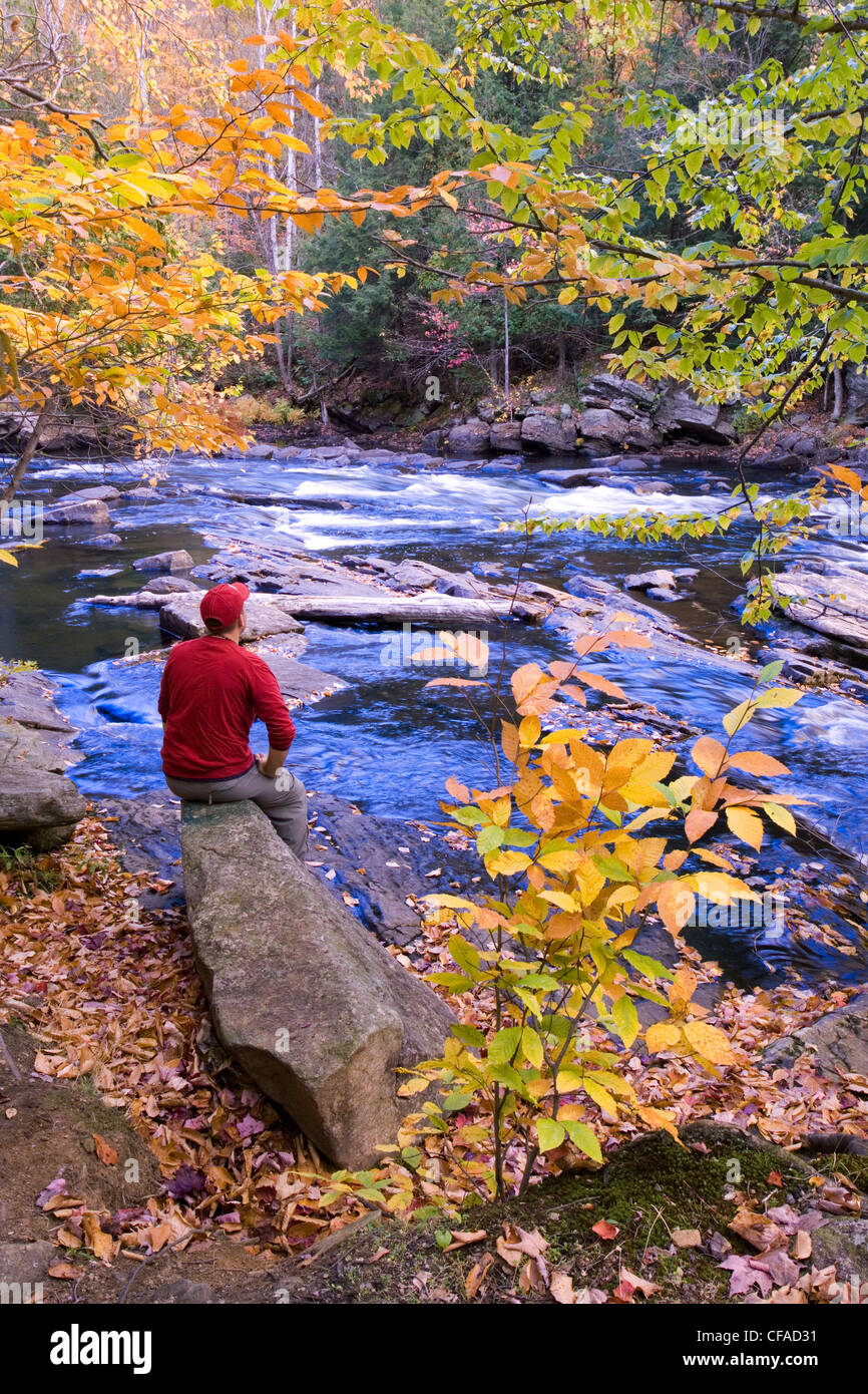 Kanada, Ontario, Algonquin Provincial Park, ein junger Mann sitzt auf einem Felsen, die Herbstfarben He Habichtsbitterkraut Fluss entlang zu bewundern. Stockfoto
