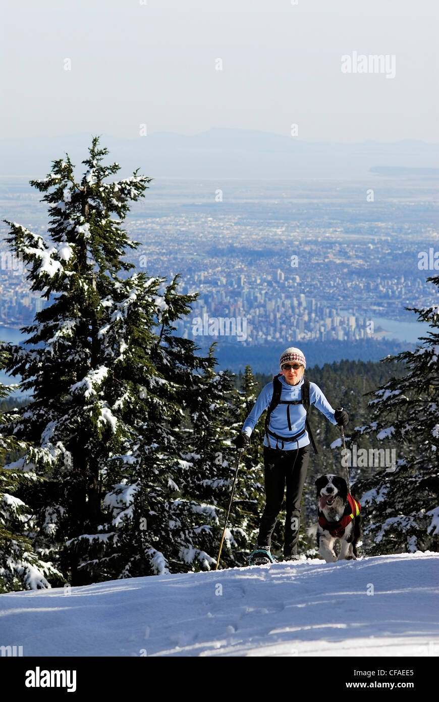 Schneeschuhwandern auf Hollyburn Berg, Zypresse-provinzieller Park, West Vancouver, Britisch-Kolumbien, Kanada. Stockfoto