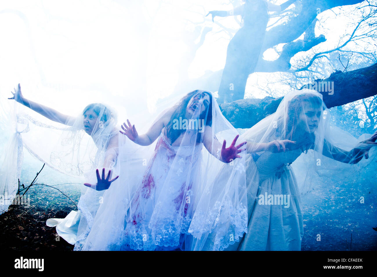 Drei junge Frauen gekleidet als Bräute, die Teilnahme an einem Zombie Braut "Trash the Dress Hochzeit" Stockfoto