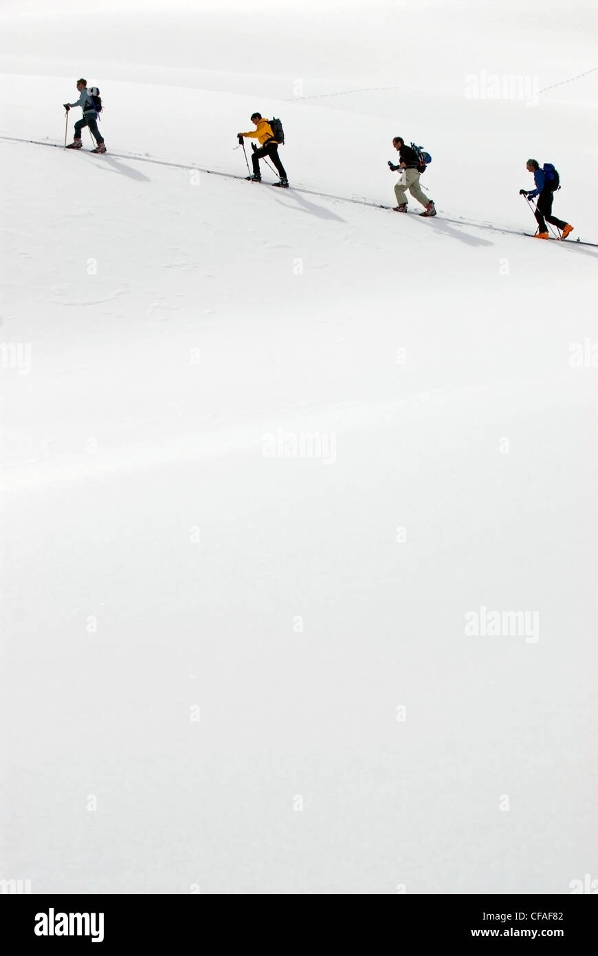 Geführte Ski Arbeitsgruppe über Schneehang, alpine Schüssel, Britisch-Kolumbien, Kanada. Stockfoto
