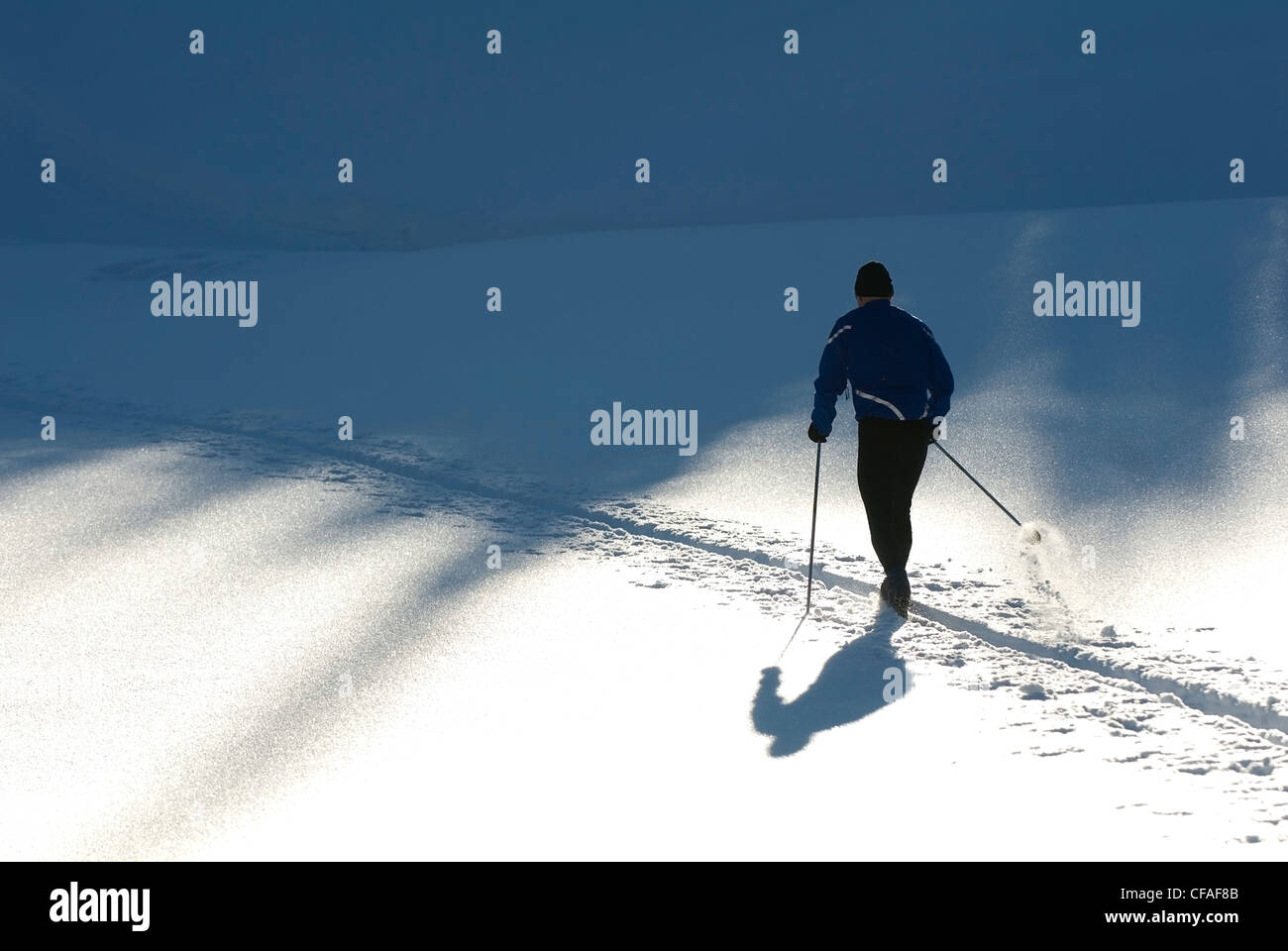 Applying Mann Schneeschuhwandern in der Nachmittagssonne, Sun Peaks Resort, British Columbia, Kanada. Stockfoto