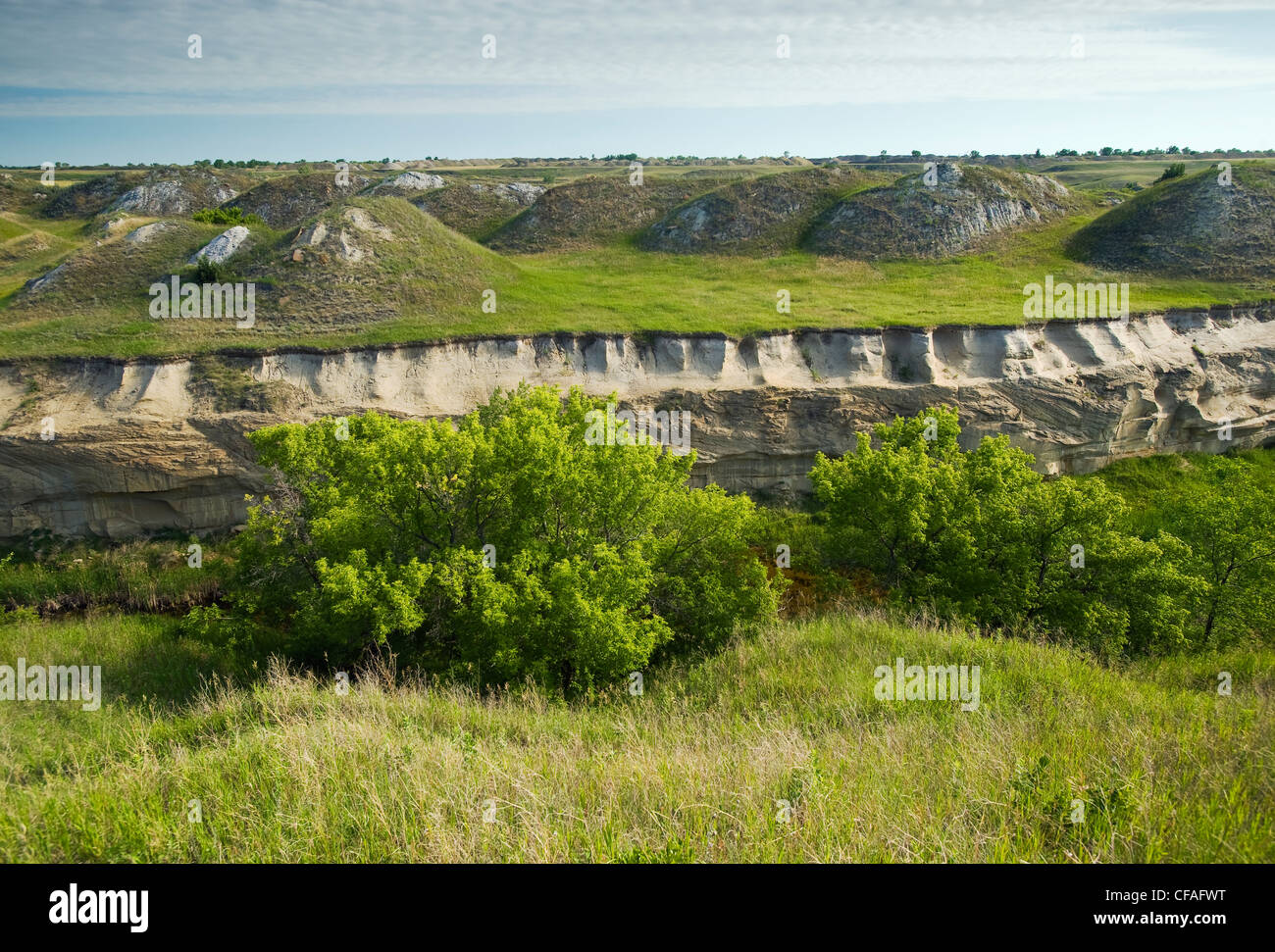 Formationen, Souris River Valley in der Nähe von Roche-Percee, Saskatchewan, Kanada Stockfoto