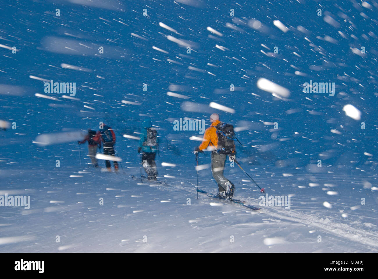 Gruppe Backcountry Skifahrer Blizzard Rückweg Kabine Stockfoto