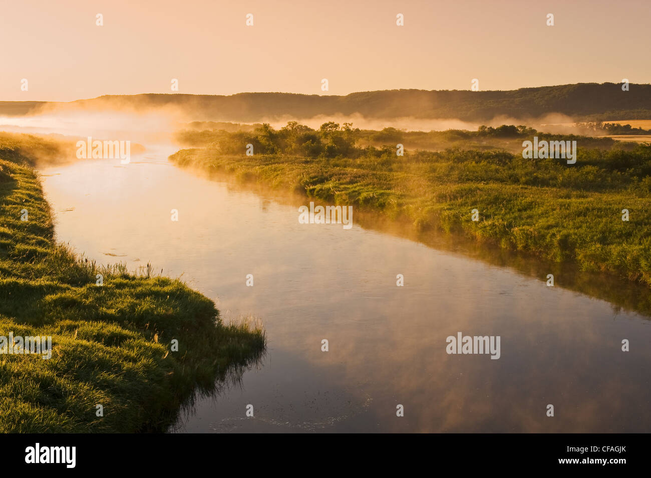 Morgennebel auf dem Qu´Appelle River, Qu´Appelle River Valley, Saskatchewan, Kanada Stockfoto