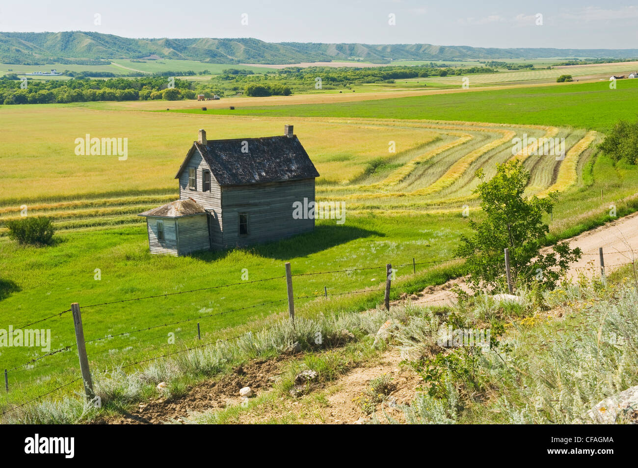 verlassenen Bauernhof in Raps Feld, qu Tal, Saskatchewan, Kanada Stockfoto