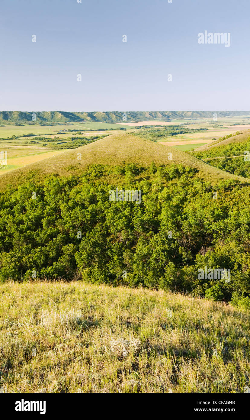erodierten Hügel über den Qu´Appelle River Valley, Saskatchewan, Kanada Stockfoto