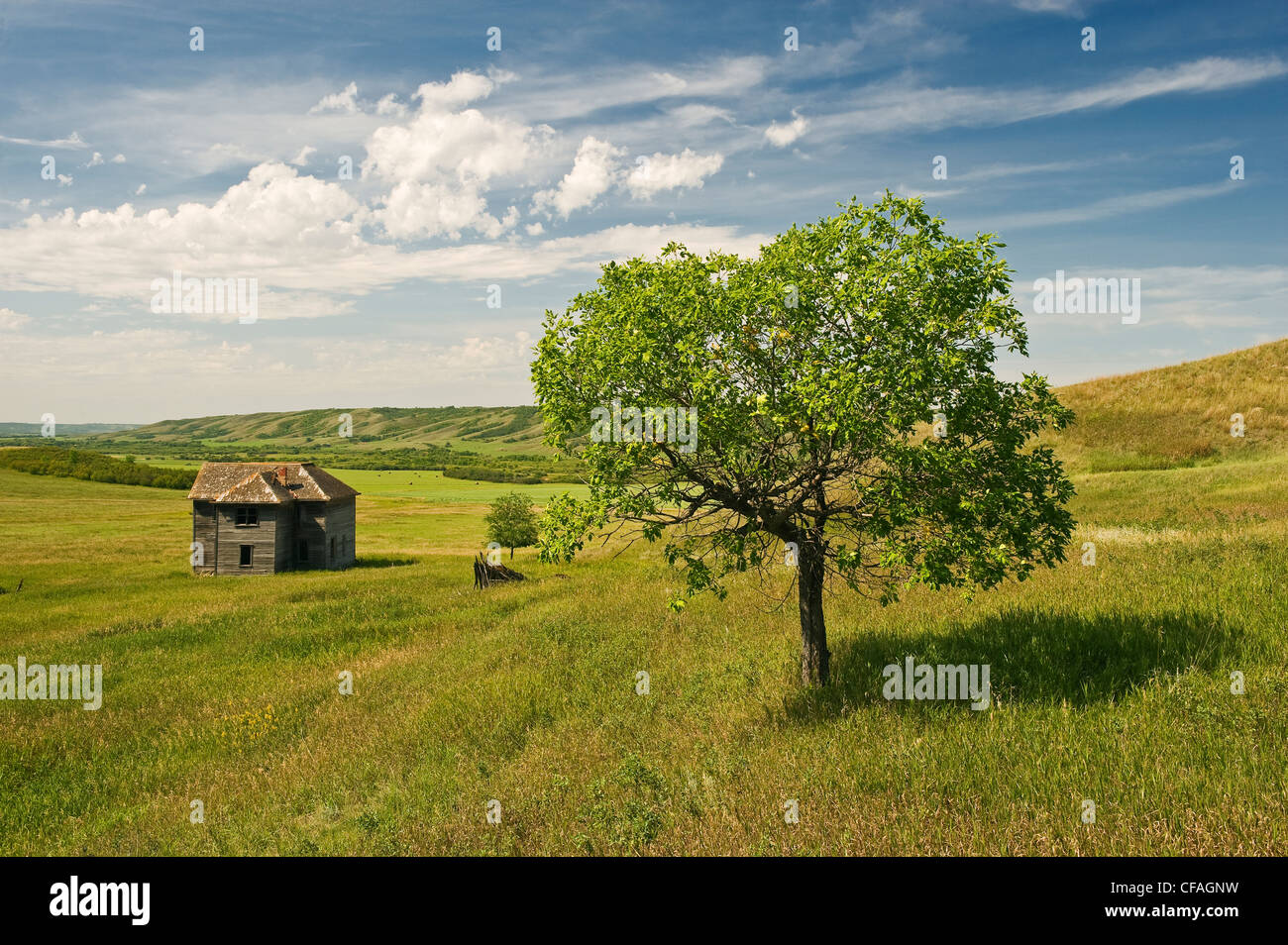 verlassenen Bauernhof in qu Tal, Saskatchewan, Kanada Stockfoto
