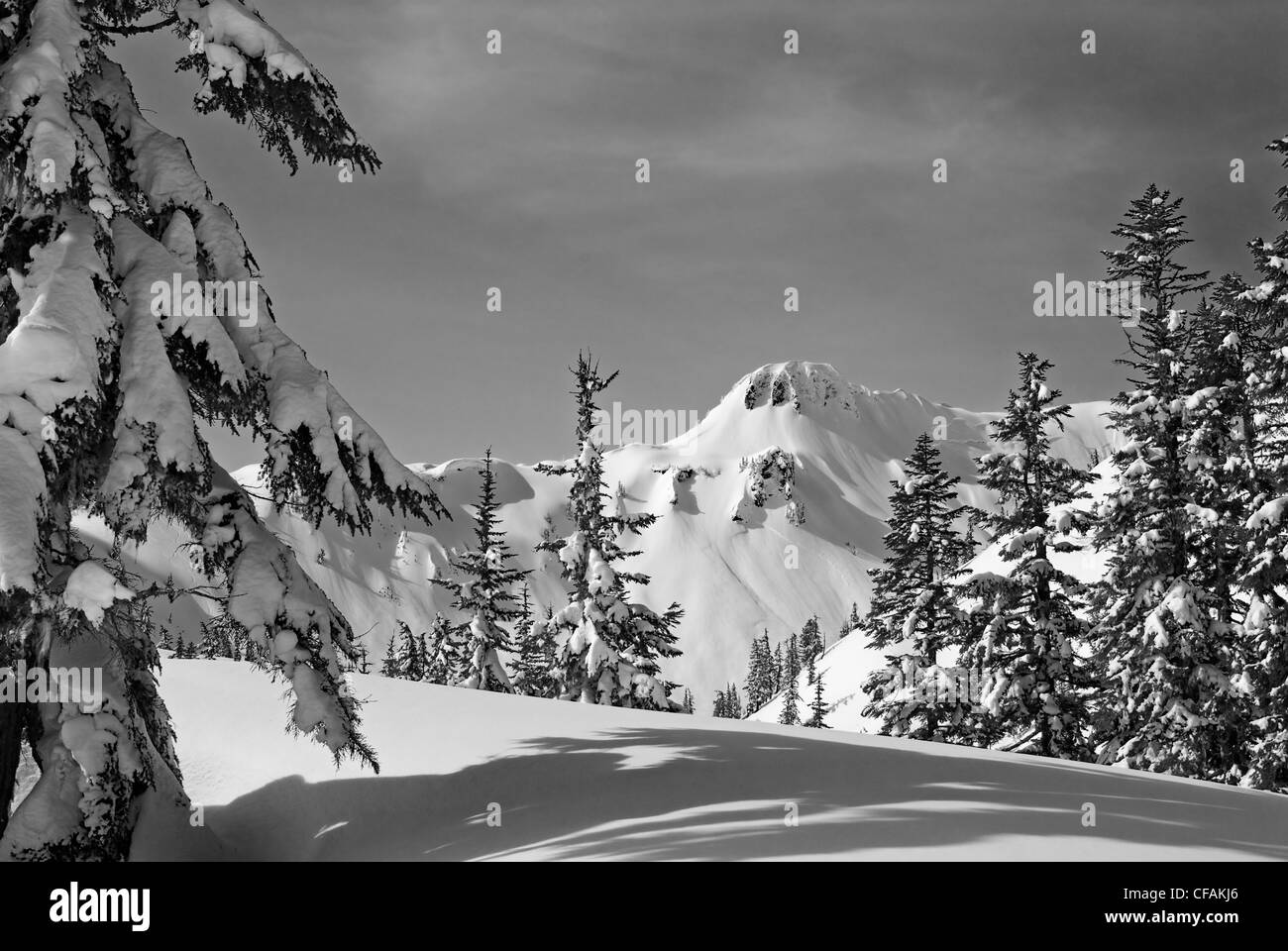 Table Mountain an einem schönen Frühlingstag Mount Baker Wildnis/Snoqualmie National Forest, Washington, USA. Stockfoto