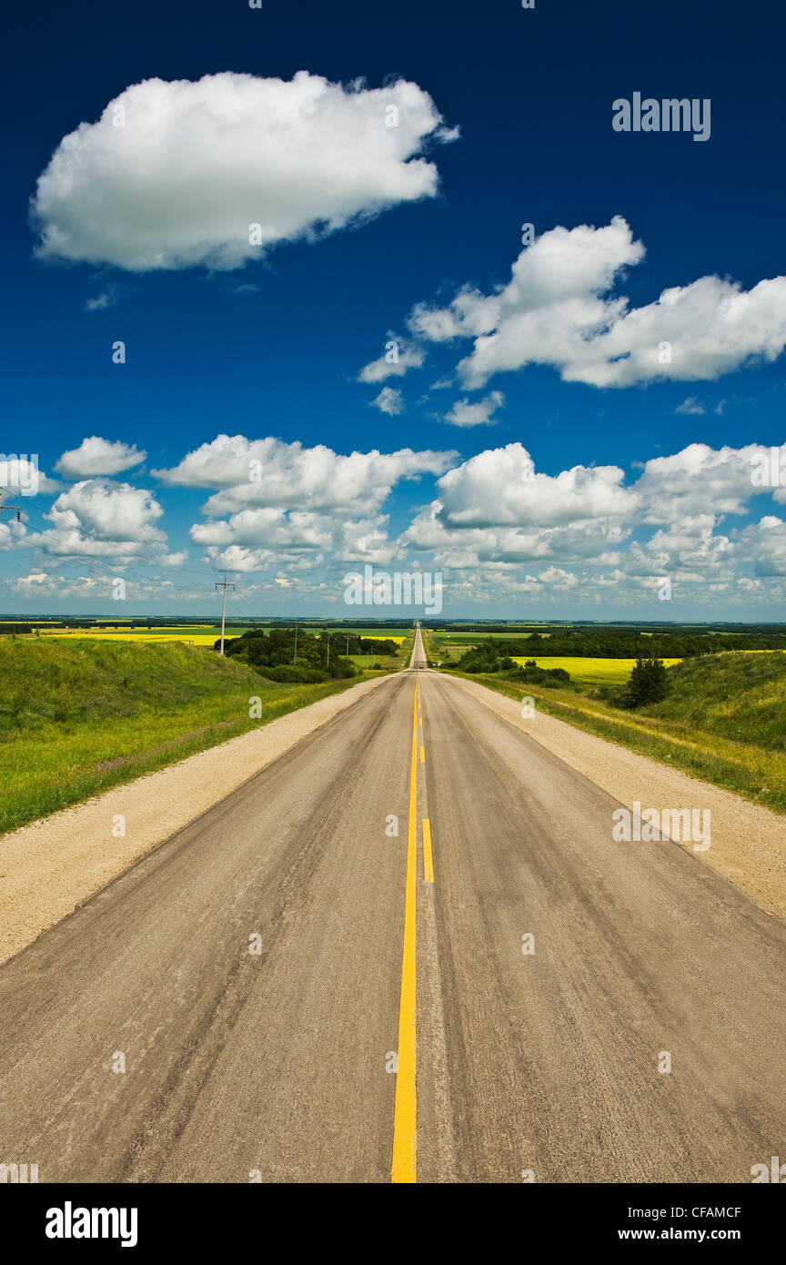 Straße hinunter in das Red River Valley in der Nähe von Miami, Manitoba, Kanada Stockfoto
