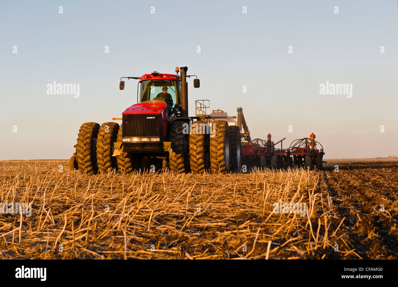 bewegliche Traktor und und Luft bis Sämaschine, die Anpflanzung von Getreide in Raps Stoppeln, in der Nähe von Dugald, Manitoba, Kanada Stockfoto