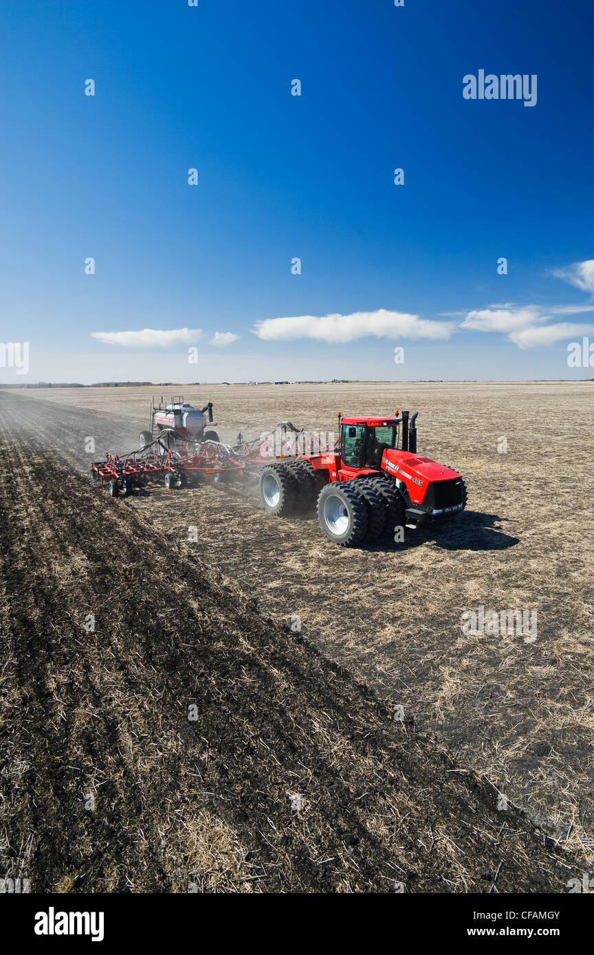 bewegliche Traktor und und Luft bis Sämaschine Pflanzen Weizen, in der Nähe von Dugald, Manitoba, Kanada Stockfoto