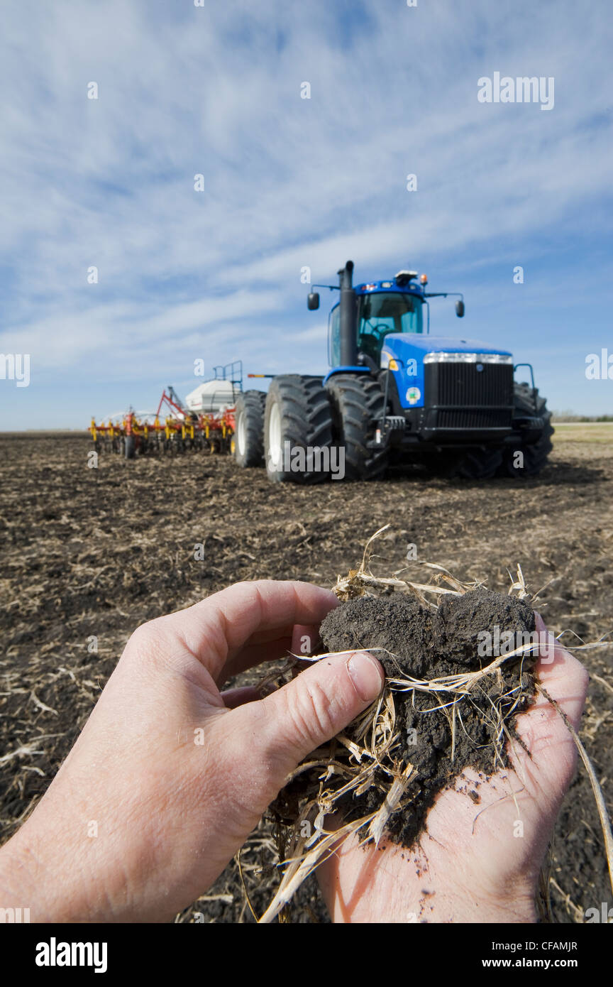 Man untersucht Canolresidue Traktor Bodenluft bis Stockfoto