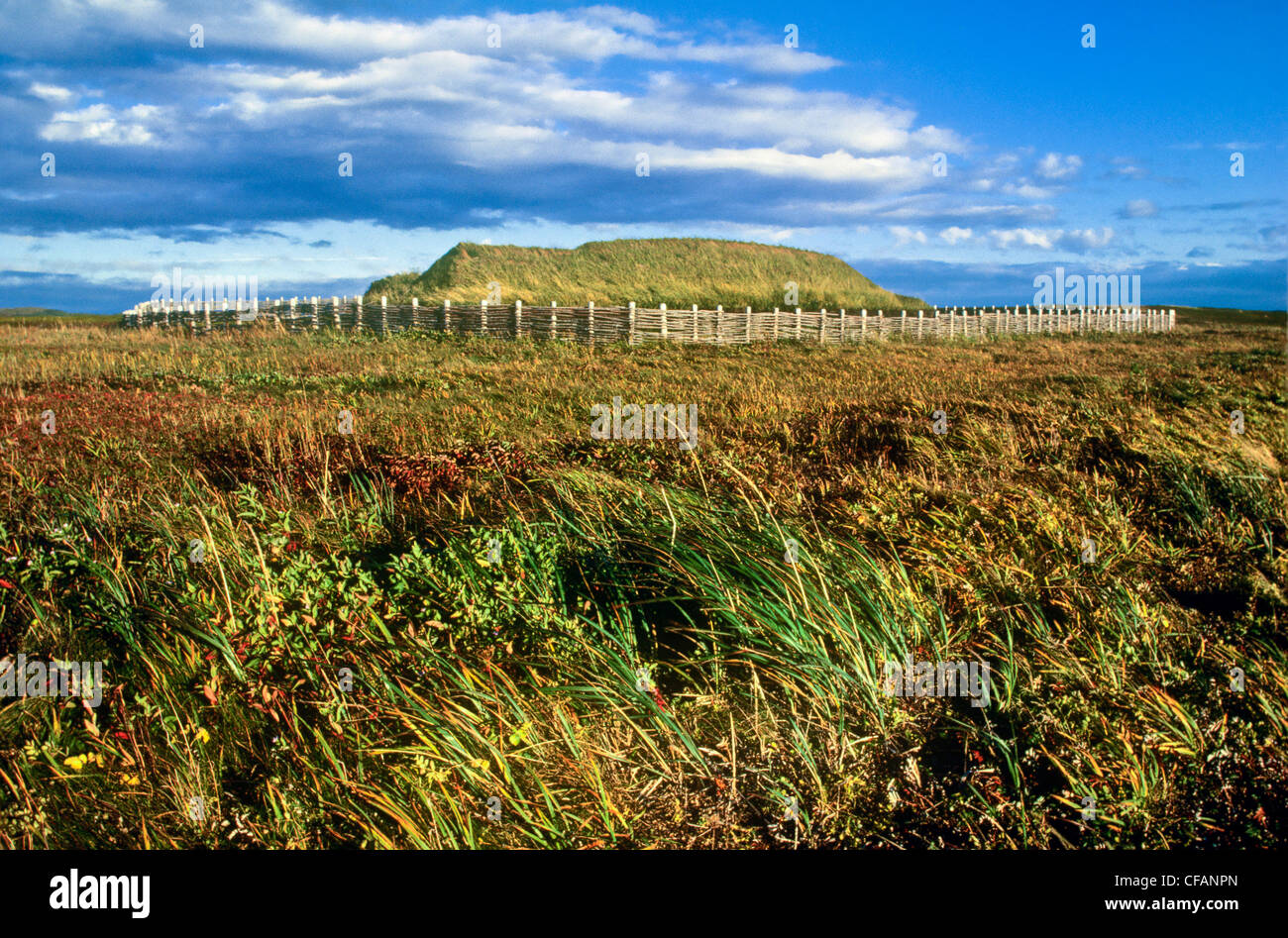 L ' Anse Aux Meadows National historische Website, Neufundland und Labrador, Kanada. Stockfoto
