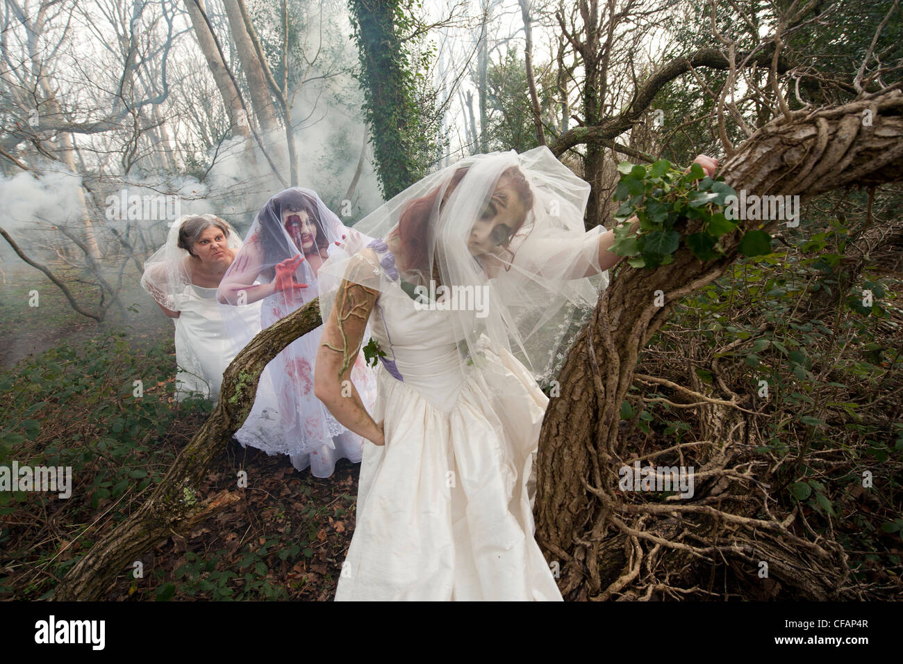 drei junge Frauen gekleidet als Bräute, die Teilnahme an einem Zombie Braut "trash das Hochzeitskleid" in einem Waldgebiet schießen Wald uk Stockfoto