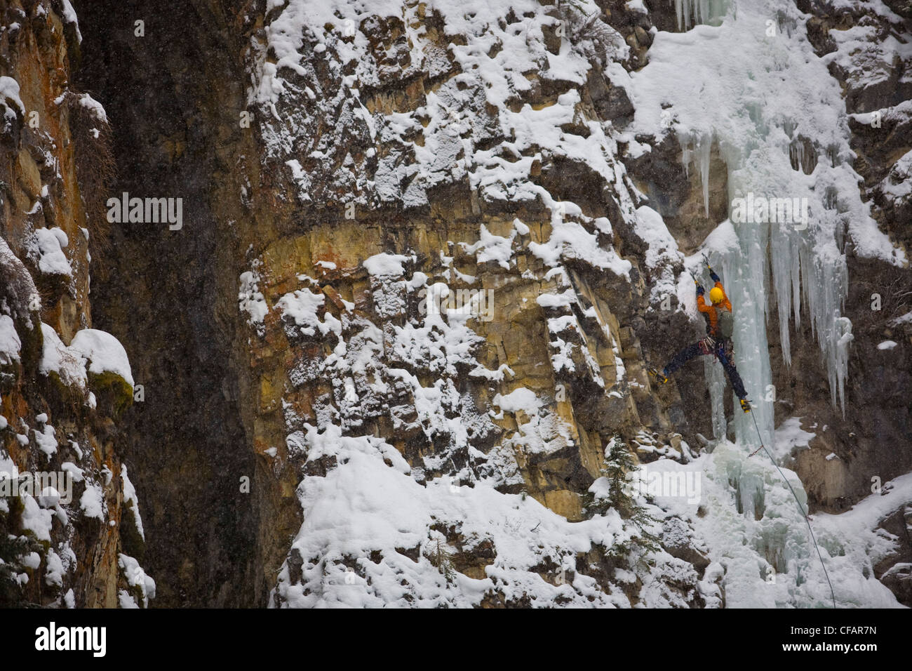 Ein Eiskletterer weiter WD40 WI 4, Evan Thomas Creek, Kananaskis, Alberta, Kanada Stockfoto