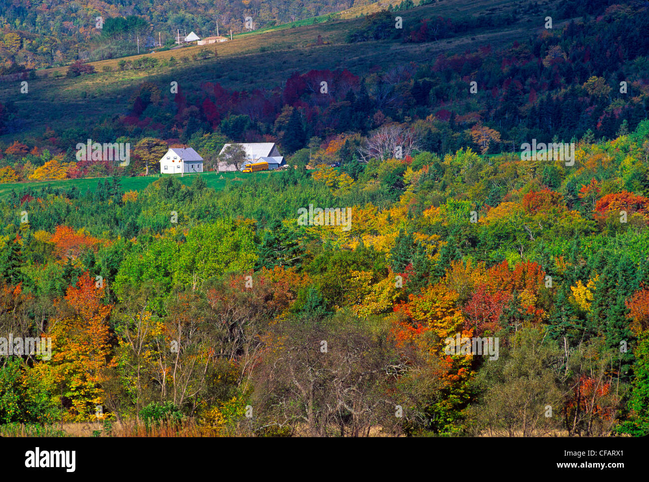 Mabou im Herbst, Cape Breton Island, Nova Scotia, Kanada. Stockfoto