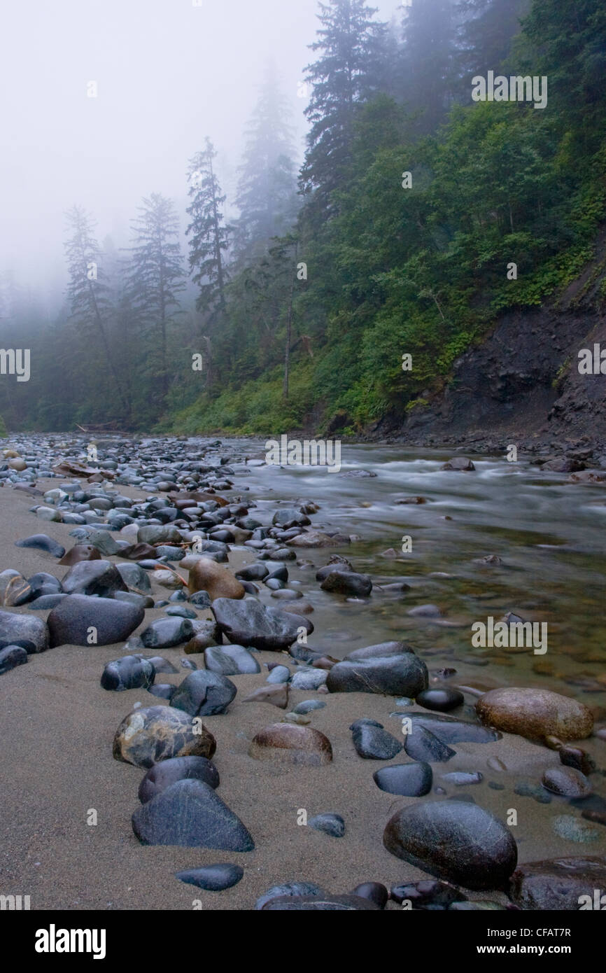 Carmanah Bach fließt in den Ozean entlang der West Coast Trail auf Vancouver Island, British Columbia, Kanada Stockfoto