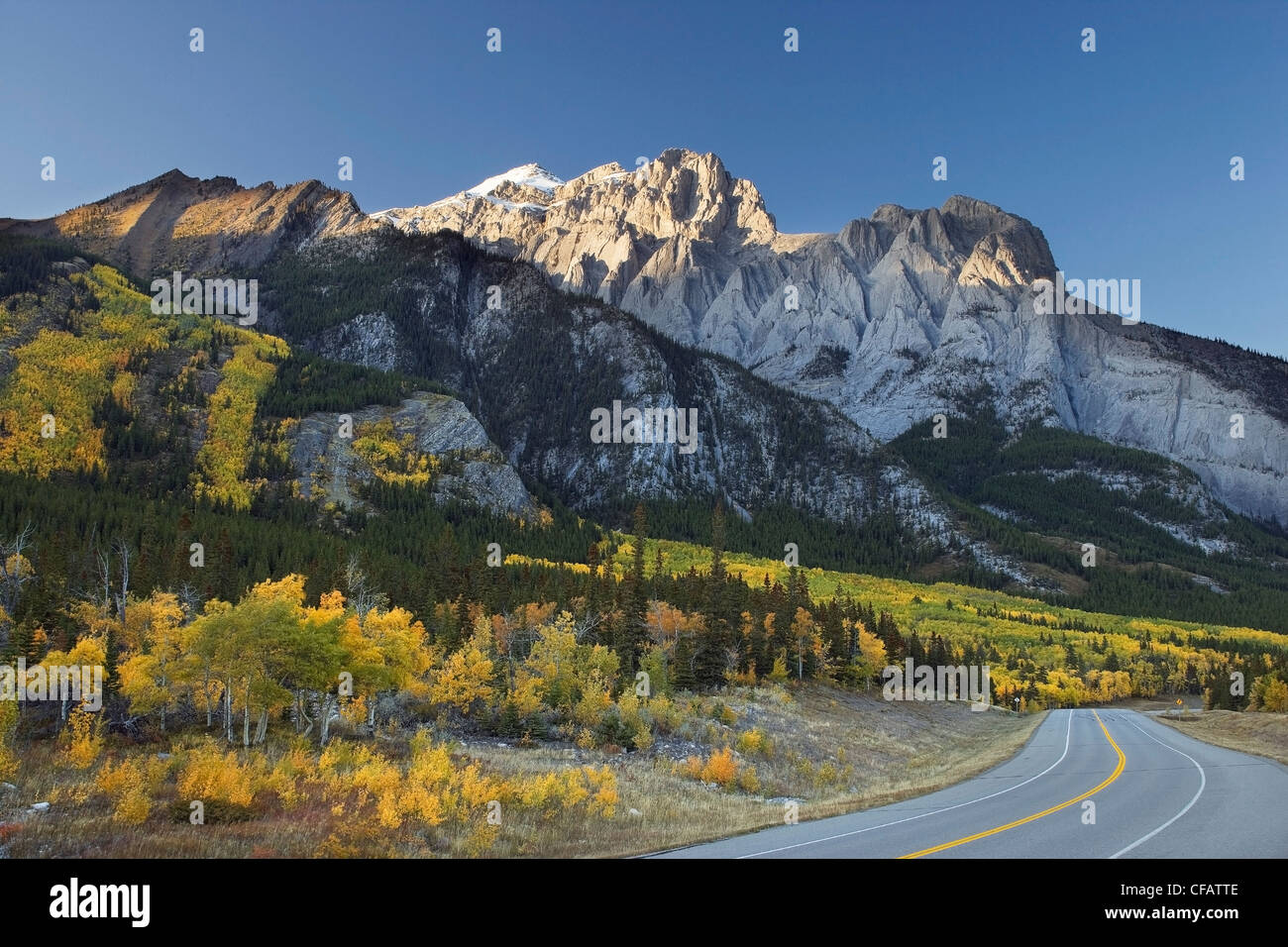 Herbstfarben entlang Highway 11 und Mount Abraham, Kootenay Plains, Alberta, Kanada Stockfoto