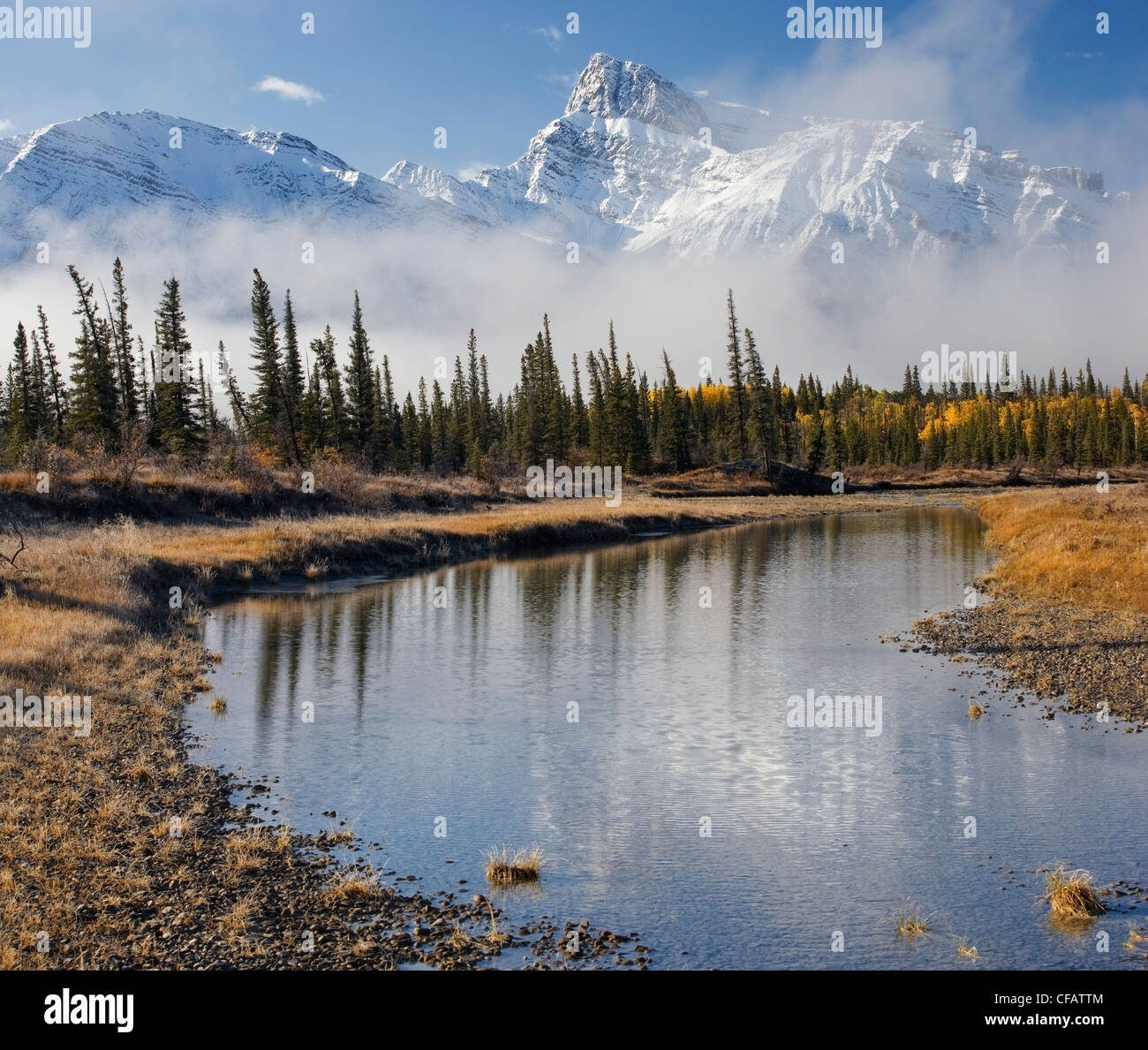 North Saskatchewan River mit Mount Peskett im Hintergrund, Kootenay Plains, Bighorn Wildland, Alberta, Kanada Stockfoto