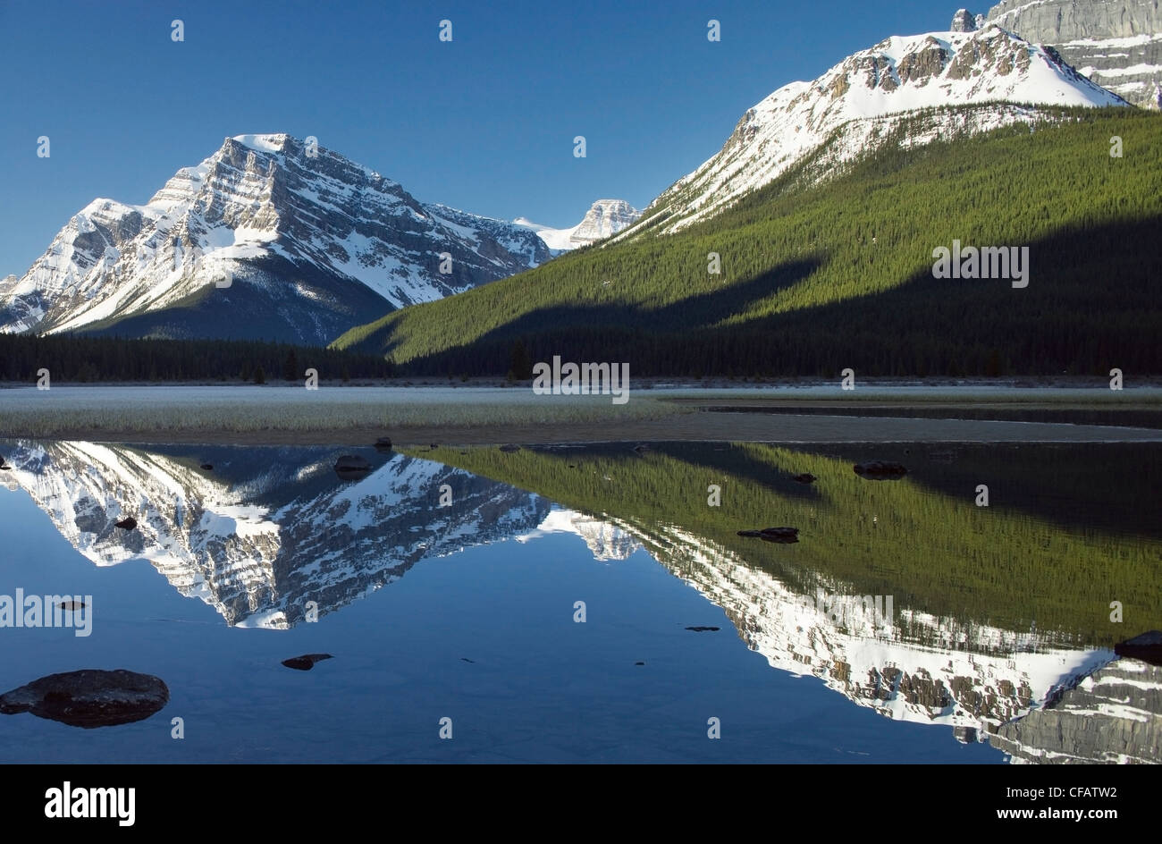 Upper Lake Wasservögel und Mount Patterson, Banff Nationalpark, Alberta, Kanada Stockfoto