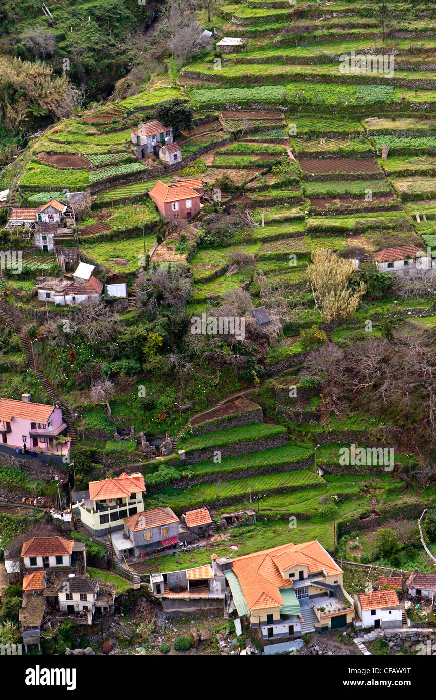 Madeira, Portugal Stockfoto