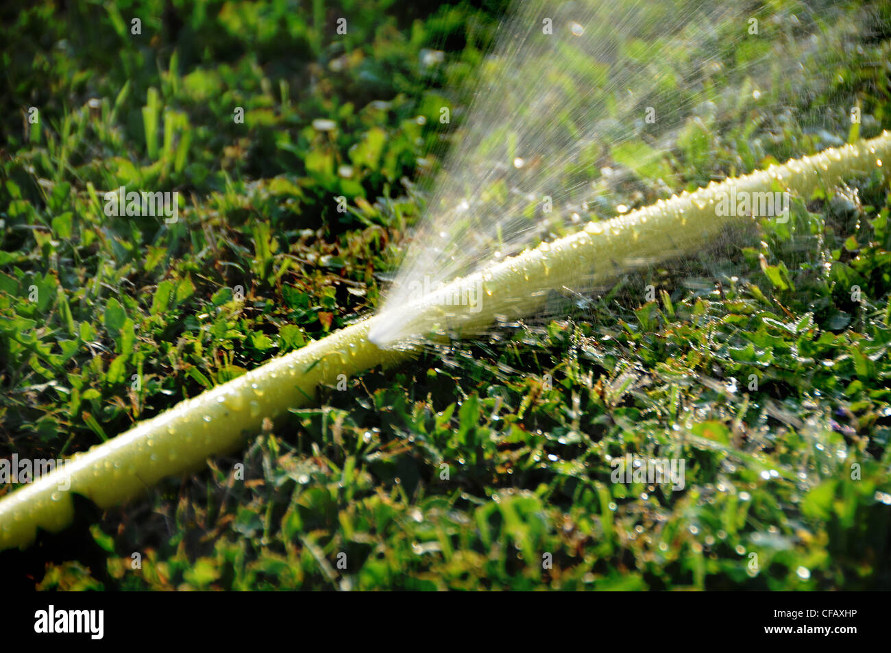 Garten Schlauch Wasserschlauch Rasen Bewasserung Loch Splash Stockfotografie Alamy