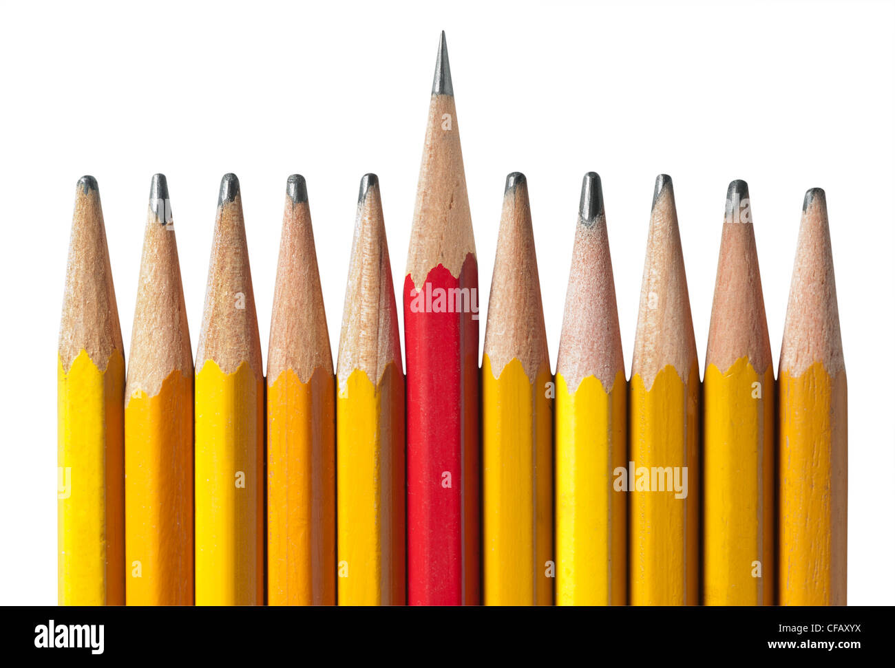 Schärfste Bleistift im Bunde: eine Metapher für Führung, Intelligenz, und individuelle Zusammenarbeit und Einheit, isoliert auf weiss Stockfoto