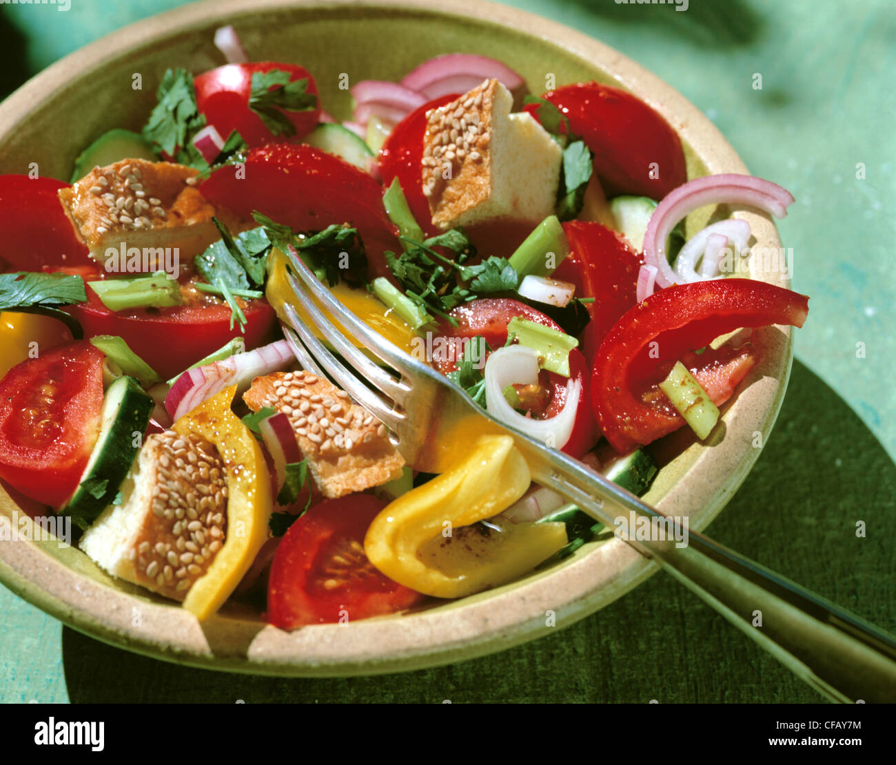 Tomaten-Brot-Salat Stockfoto