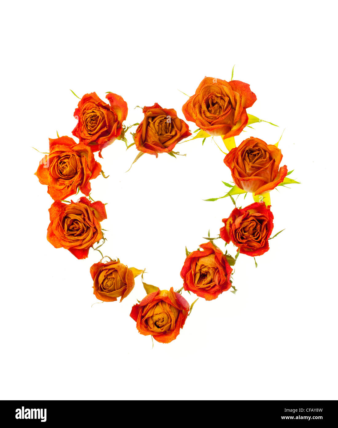 Rosen in der Form eines Herzens auf weißen Hintergrund Stockfoto