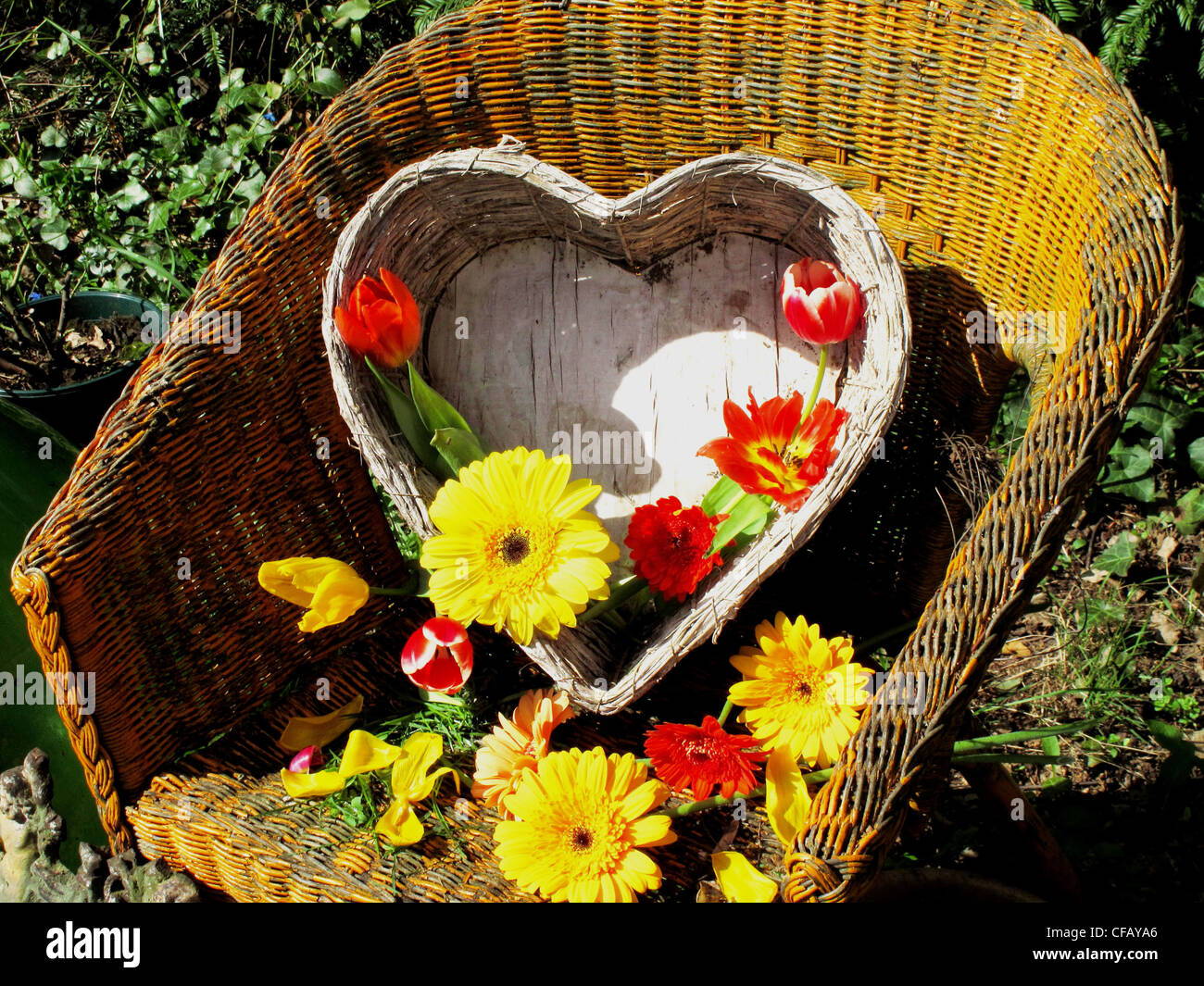 Herz, Liebe, Symbol, Konzepte, Emotion, Korbstuhl, Blumen, Pflanzen